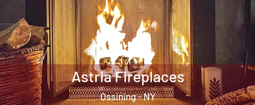  Astria Fireplaces Ossining - NY