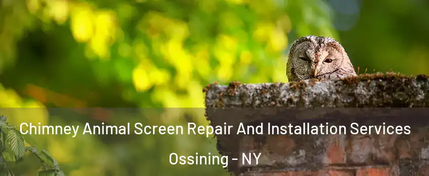  Chimney Animal Screen Repair And Installation Services Ossining - NY