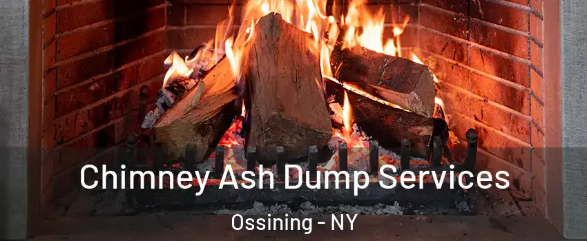  Chimney Ash Dump Services Ossining - NY