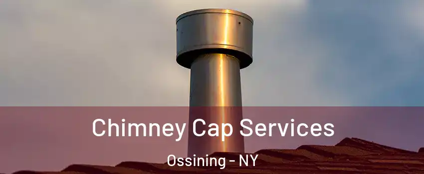  Chimney Cap Services Ossining - NY