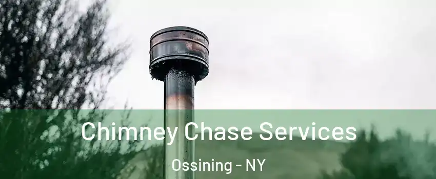  Chimney Chase Services Ossining - NY