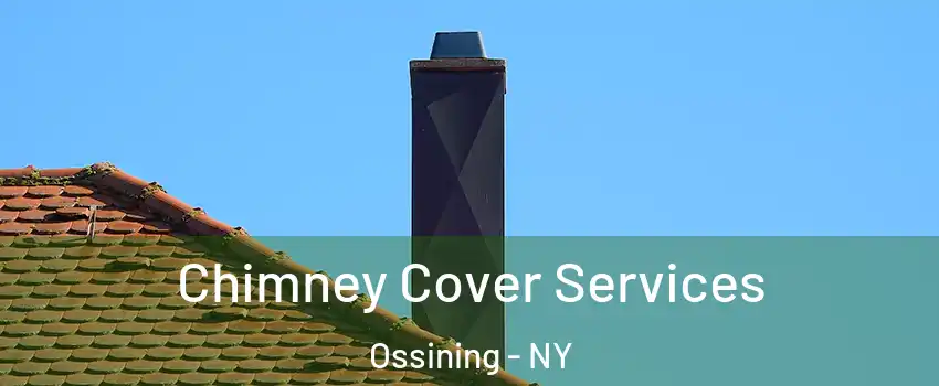  Chimney Cover Services Ossining - NY