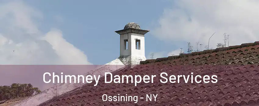  Chimney Damper Services Ossining - NY