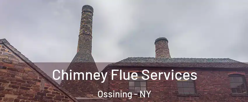  Chimney Flue Services Ossining - NY