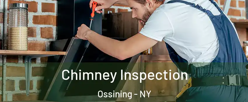  Chimney Inspection Ossining - NY