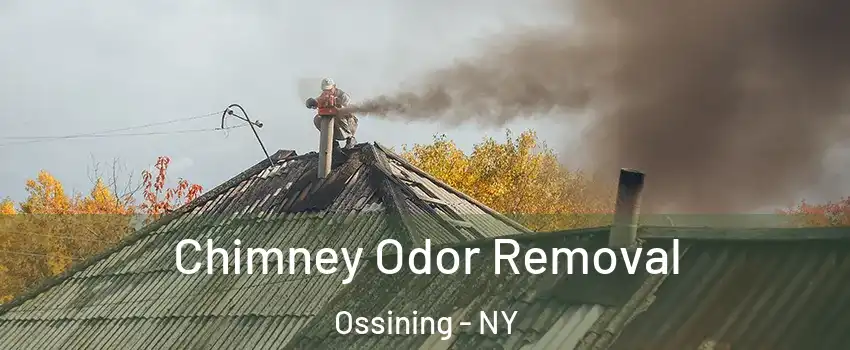  Chimney Odor Removal Ossining - NY
