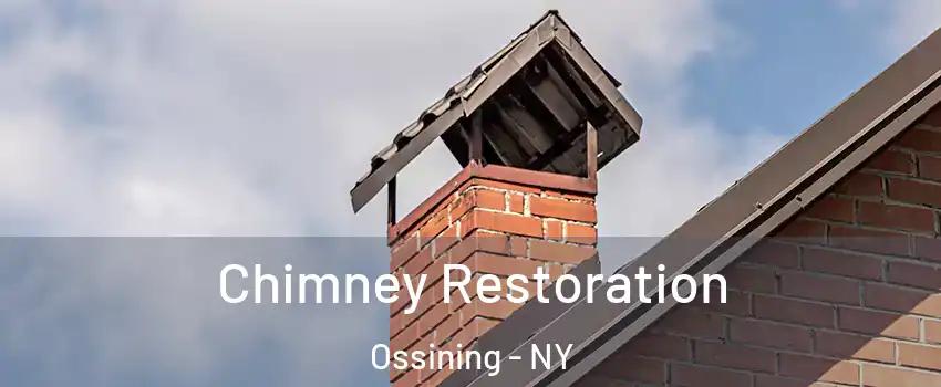  Chimney Restoration Ossining - NY