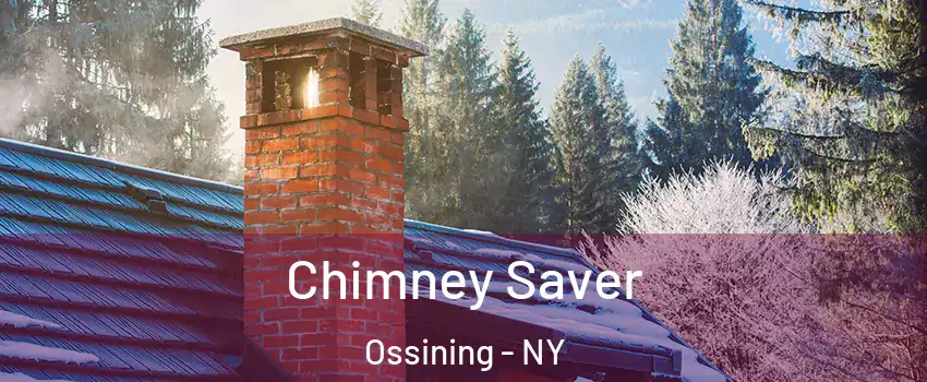  Chimney Saver Ossining - NY