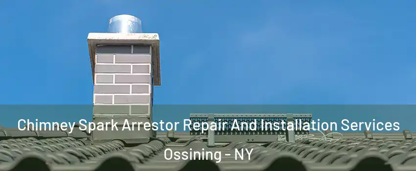  Chimney Spark Arrestor Repair And Installation Services Ossining - NY