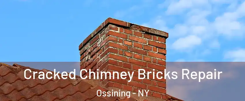  Cracked Chimney Bricks Repair Ossining - NY