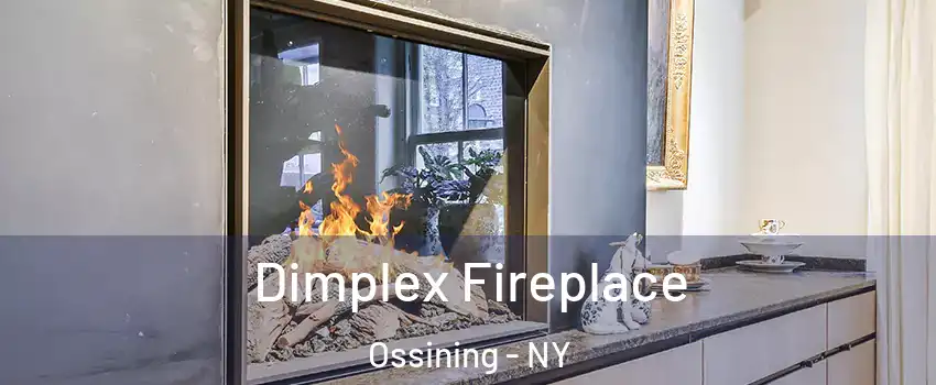  Dimplex Fireplace Ossining - NY
