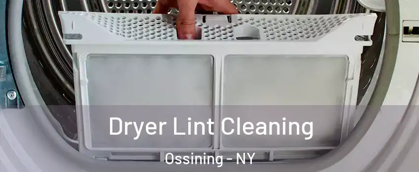  Dryer Lint Cleaning Ossining - NY