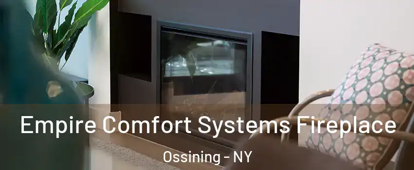  Empire Comfort Systems Fireplace Ossining - NY