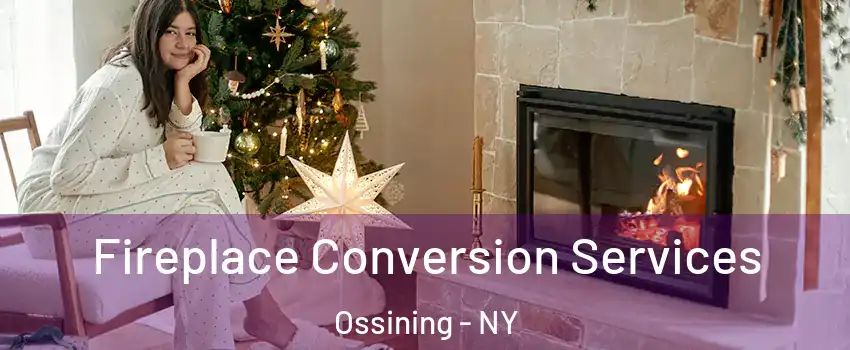  Fireplace Conversion Services Ossining - NY
