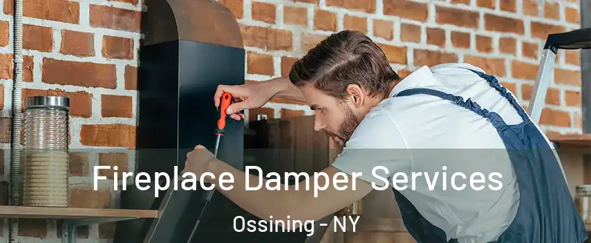  Fireplace Damper Services Ossining - NY