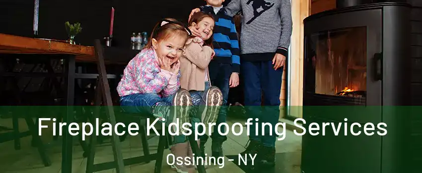  Fireplace Kidsproofing Services Ossining - NY