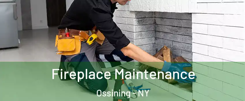  Fireplace Maintenance Ossining - NY