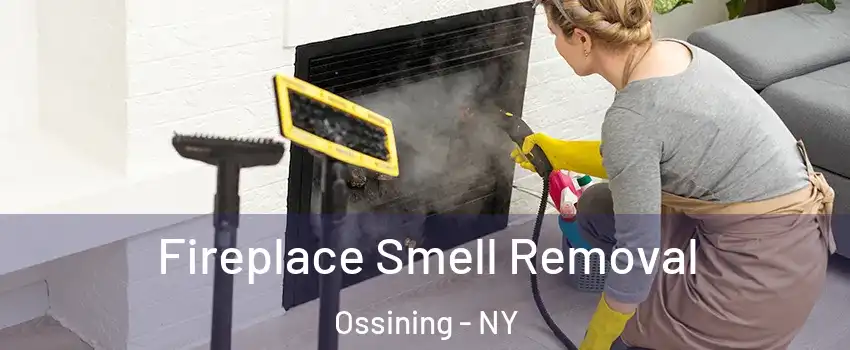  Fireplace Smell Removal Ossining - NY