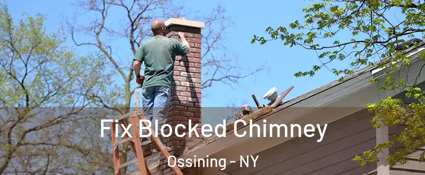  Fix Blocked Chimney Ossining - NY