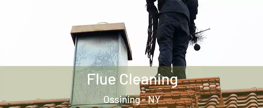  Flue Cleaning Ossining - NY