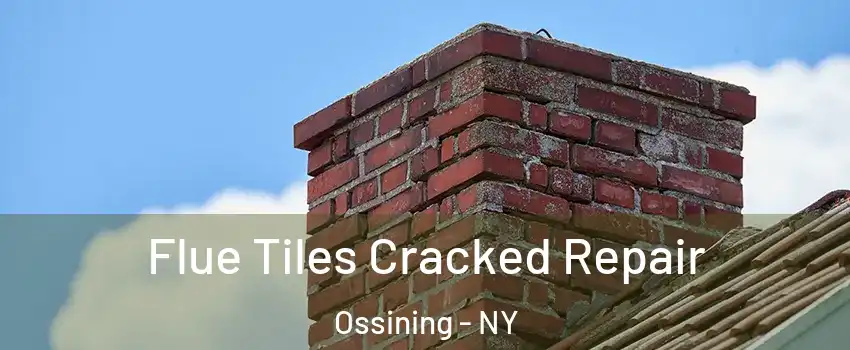  Flue Tiles Cracked Repair Ossining - NY