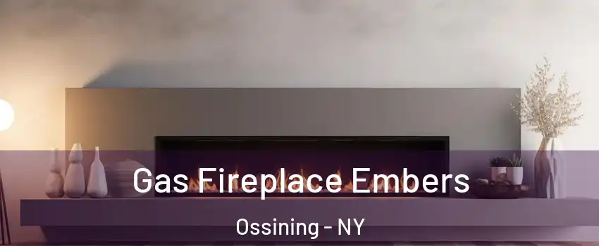  Gas Fireplace Embers Ossining - NY
