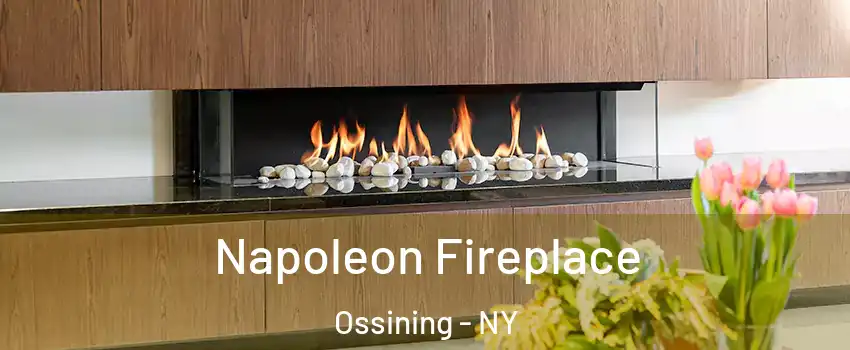  Napoleon Fireplace Ossining - NY