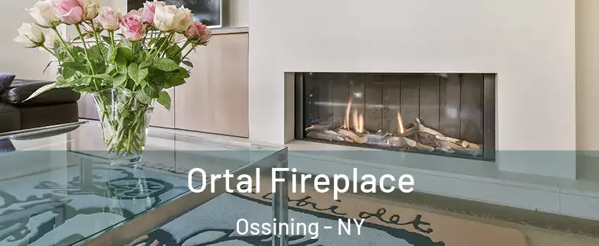  Ortal Fireplace Ossining - NY
