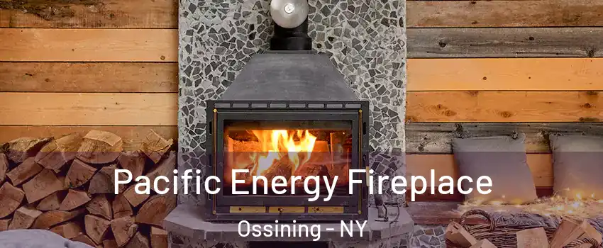  Pacific Energy Fireplace Ossining - NY